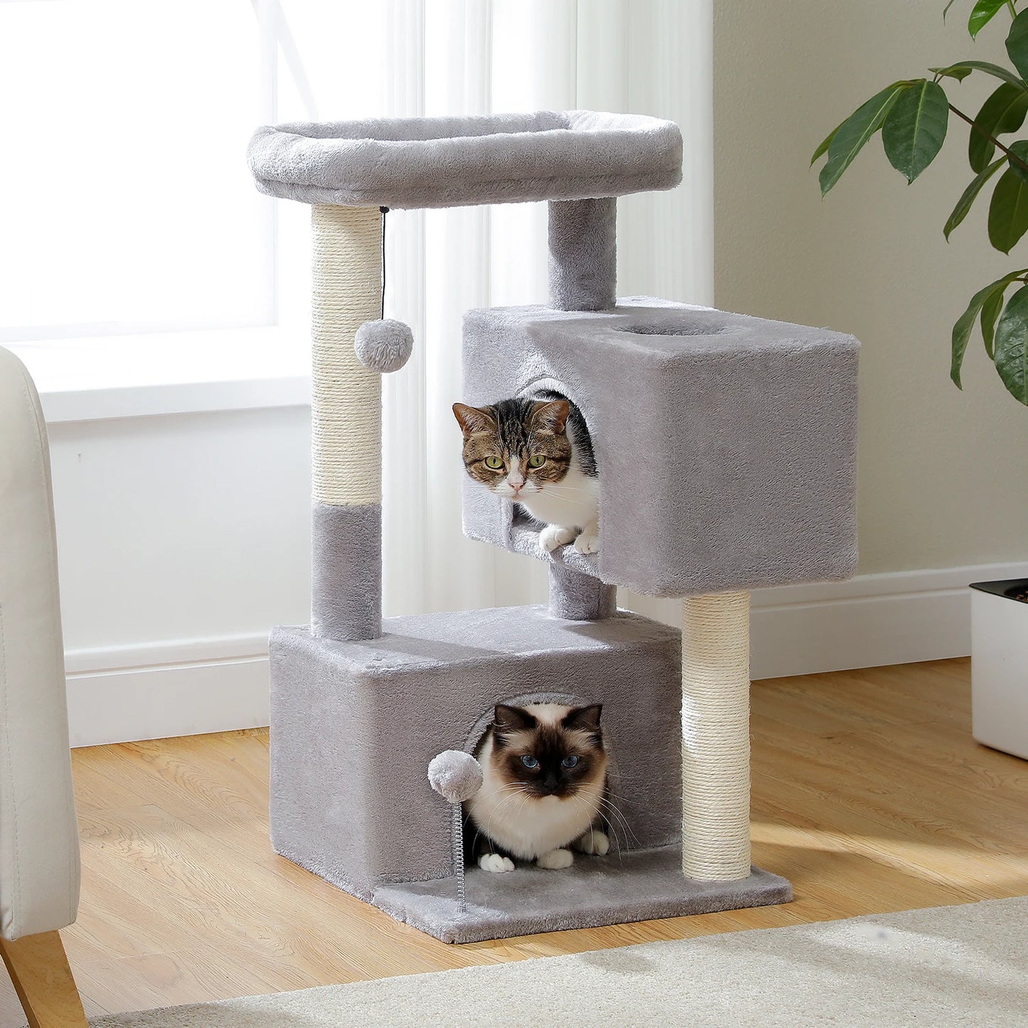 Cat Furniture – Plush Condo & Perch Tree - Pawsyhome
