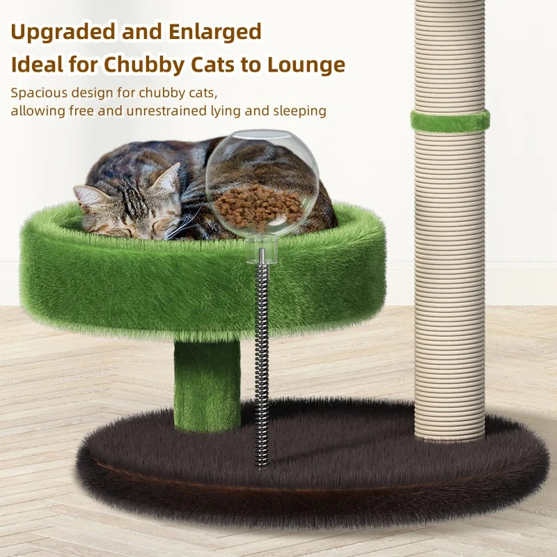 Cat Scratching – Sisal Comfort Perch - Pawsyhome