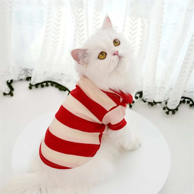 Summer T-Shirt for Dogs & Cats
