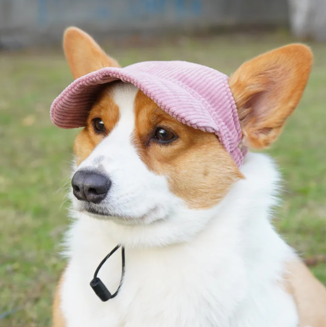 Gorra Casual para Perros y Gatos Pequeños con Orificios para las Orejas – Gorro Lindo Ajustable