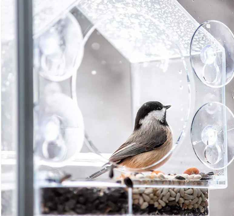 Comedero Inteligente para Aves – Alimentador Automático para Pájaros y Aves de Jardín