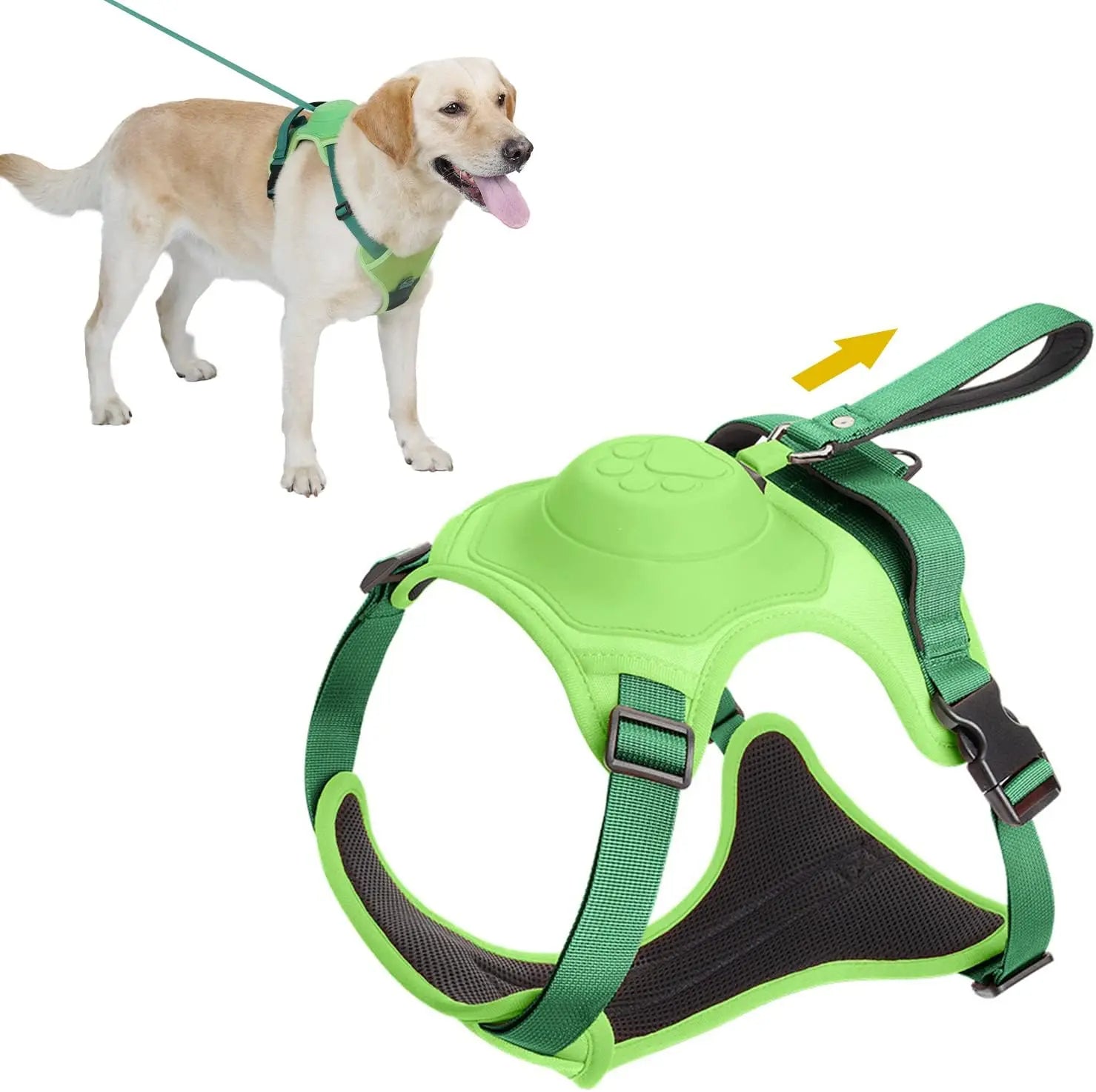 Dog Harness and Automatic Retractable Leash Kit - Pawsyhome