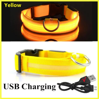 LED Glowing Dog Collars Rechargeable - Pawsyhome
