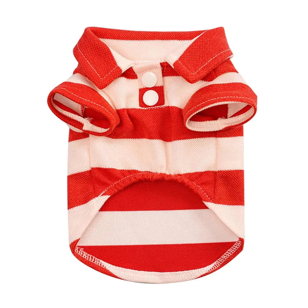 Summer T-Shirt for Dogs & Cats
