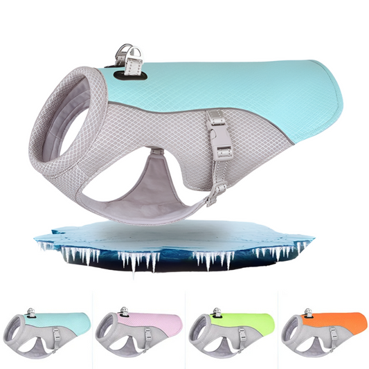 Summer Dog Cooling Vest - Pawsyhome