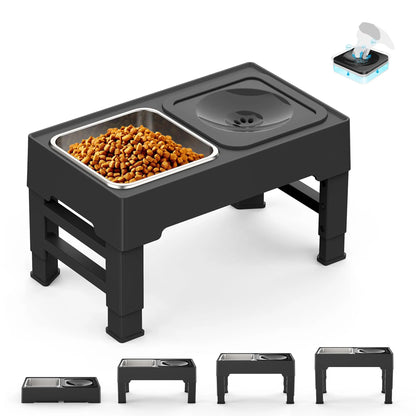Elevated Mess-Free Dog Bowl - Pawsyhome
