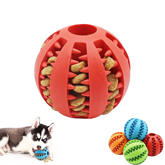 Elastic Chew Toy for Dogs - Pawsyhome