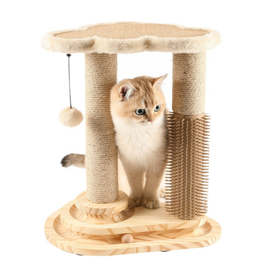 Cat Scratching Post - Pawsyhome