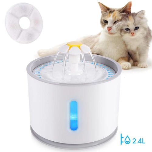 Automatic Cat Water Fountain - Pawsyhome