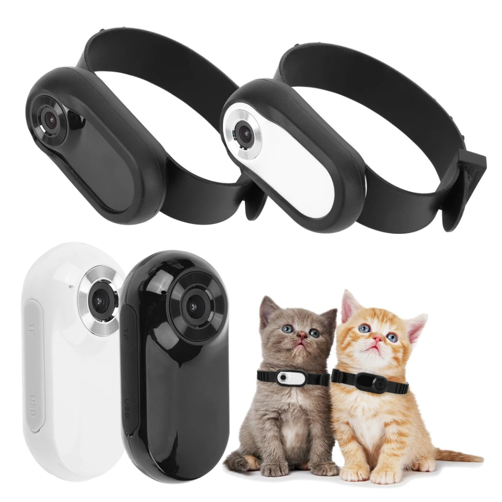 Camera Collar for Cats & Dogs - Pawsyhome