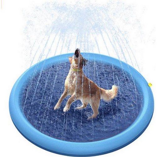 Splash Sprinkler Pad - Pawsyhome