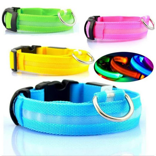 LED Glowing Dog Collars Rechargeable - Pawsyhome