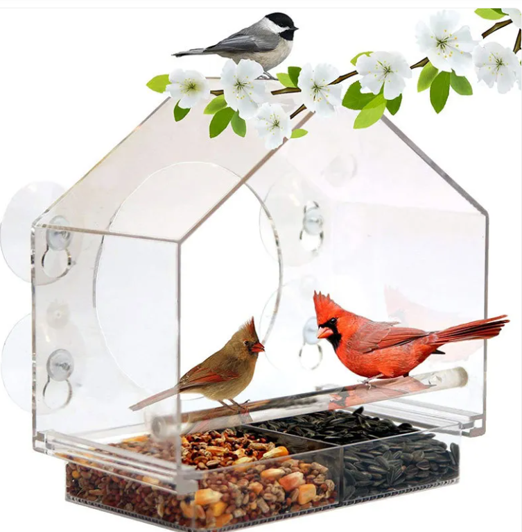 Comedero Inteligente para Aves – Alimentador Automático para Pájaros y Aves de Jardín