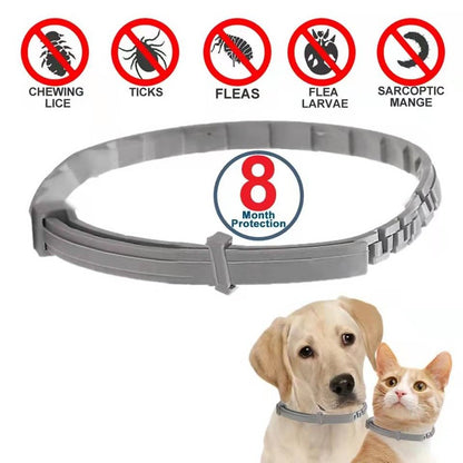 Antiparasitic Pet Collar - Pawsyhome