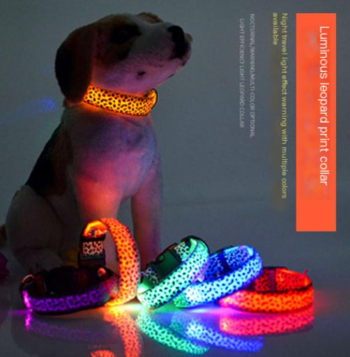 Rechargeable LED Collar for Dogs of All Sizes