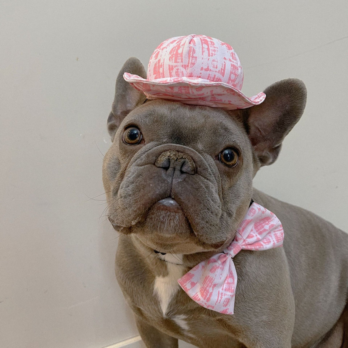 Sombrero Vaquero Ajustable para Perros y Gatos