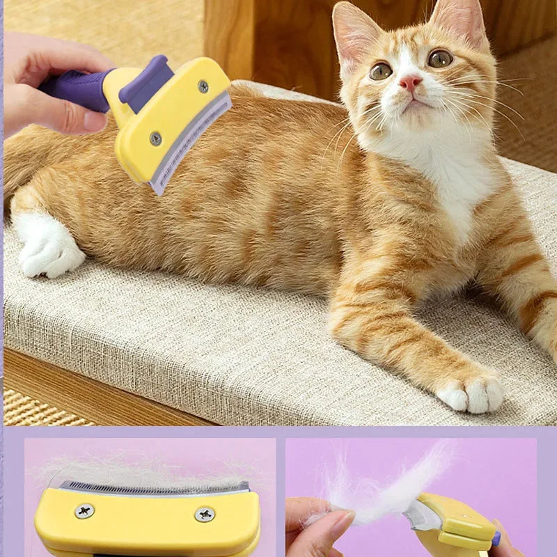 Pet Detangler & Grooming Comb - Pawsyhome