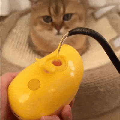 Cat Steam Brush PureFur - Pawsyhome