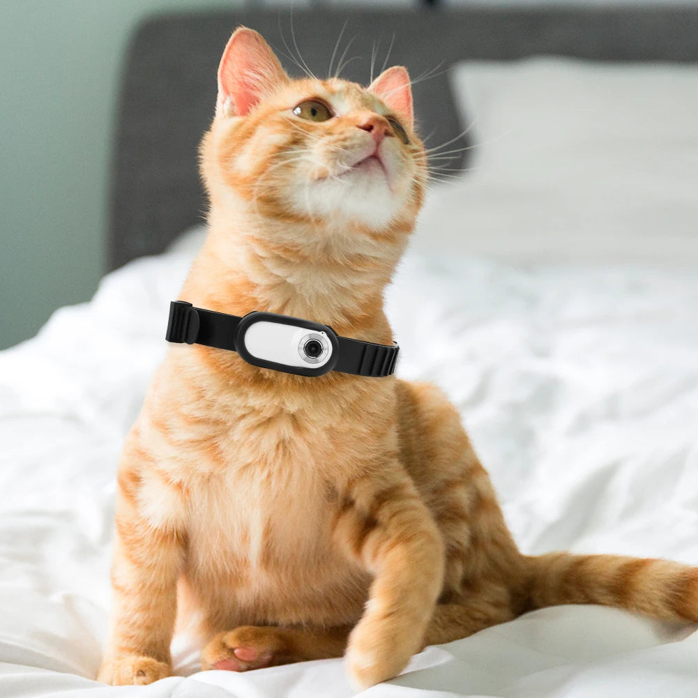 Camera Collar for Cats & Dogs - Pawsyhome