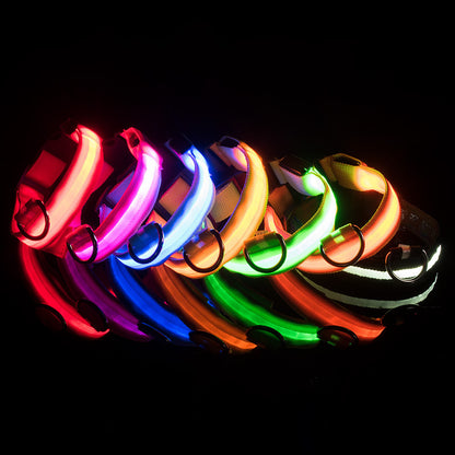 LED Glowing Dog Collars Rechargeable - Pawsyhome