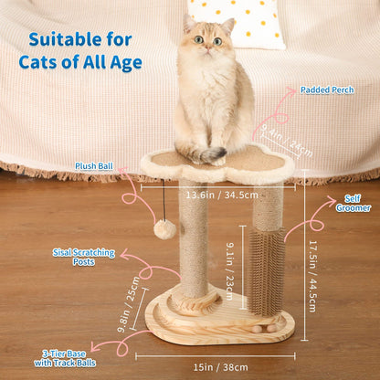 Cat Scratching Post - Pawsyhome