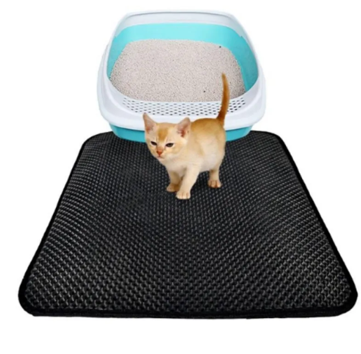 Double-Layer Cat Litter Mat
