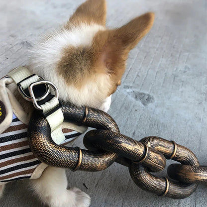 Funny Dog Chain Leash - Pawsyhome