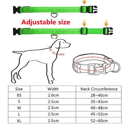 LED Glowing Dog Collars Rechargeable - Pawsyhome