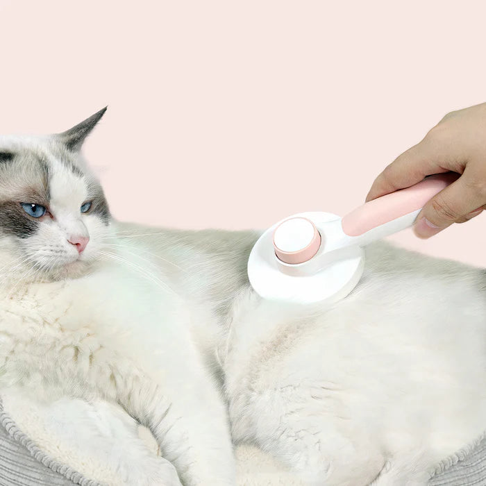 Self-Cleaning Pet Brush - Pawsyhome