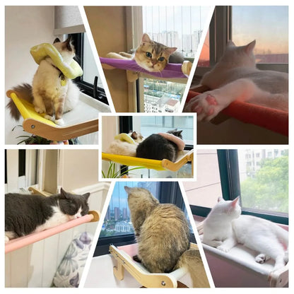 Sturdy Hanging Cat Bed - Pawsyhome