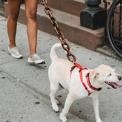 Funny Dog Chain Leash - Pawsyhome