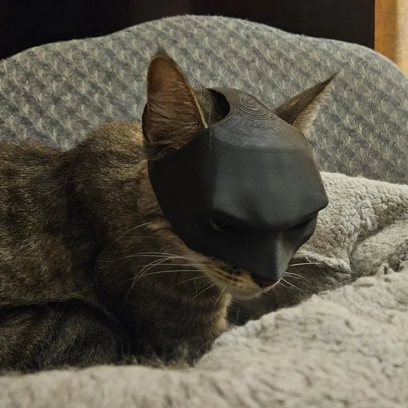 Cat Bat Mask - Pawsyhome