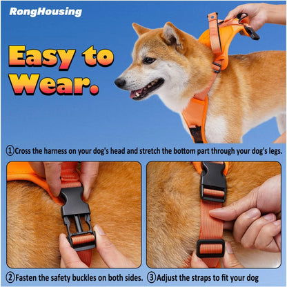 Dog Harness and Automatic Retractable Leash Kit - Pawsyhome