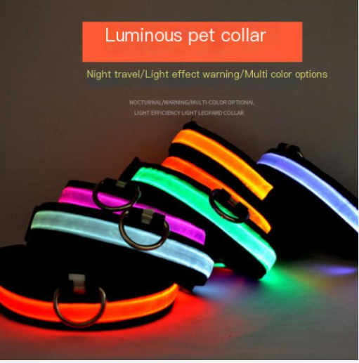 Rechargeable LED Collar for Dogs of All Sizes
