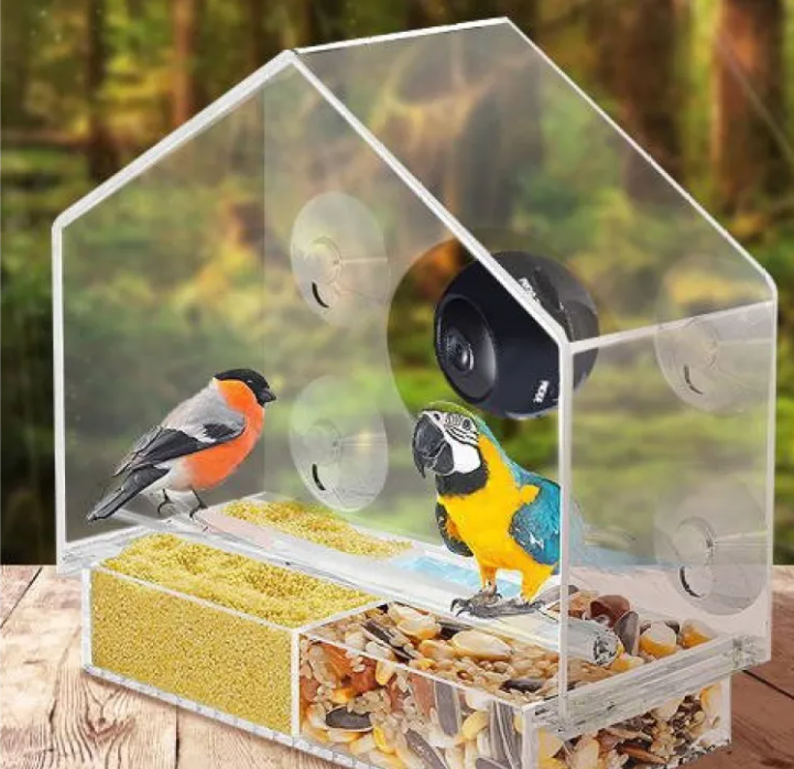 Comedero Inteligente para Aves – Alimentador Automático para Pájaros y Aves de Jardín