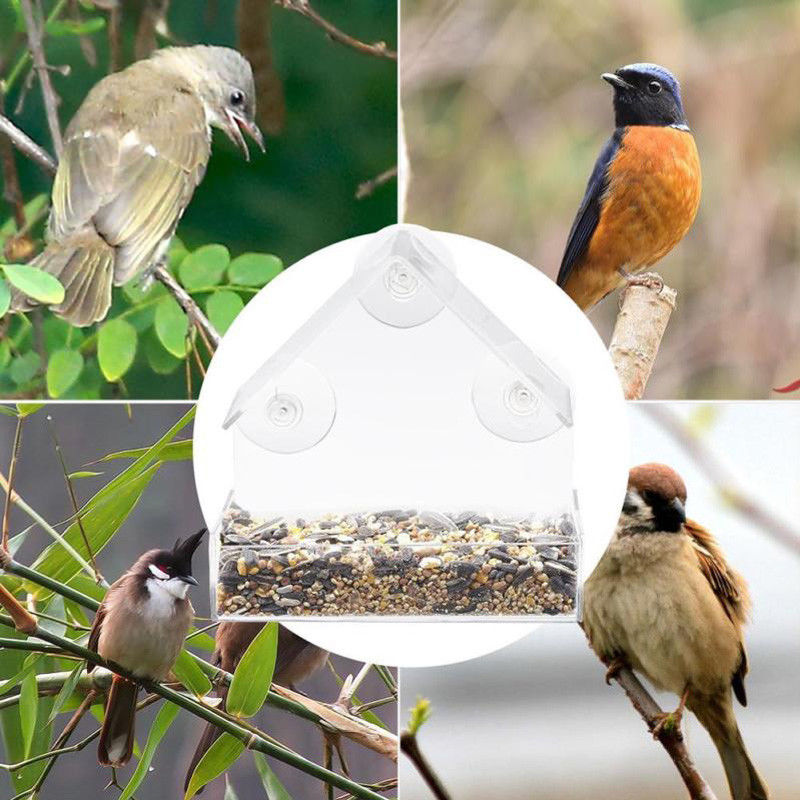 Comedero de Ventana con Ventosas — Acrílico Transparente para Observar Aves de Cerca