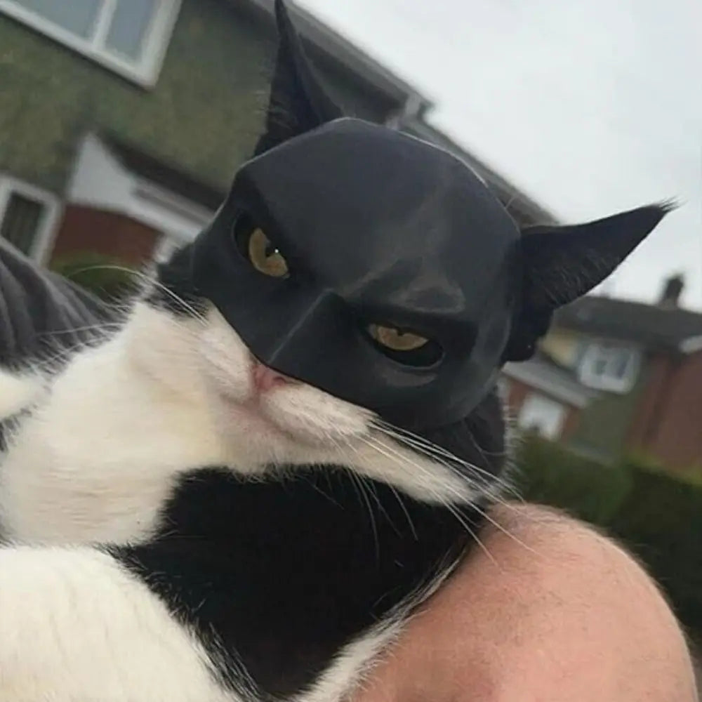 Cat Bat Mask - Pawsyhome