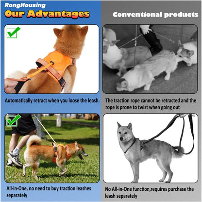 Dog Harness and Automatic Retractable Leash Kit - Pawsyhome