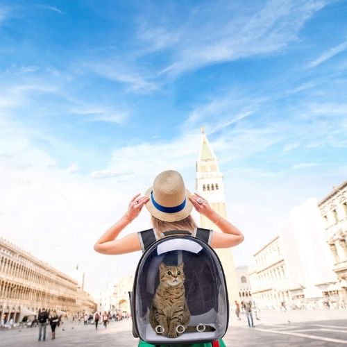 Cat Carrier Backpack - Pawsyhome