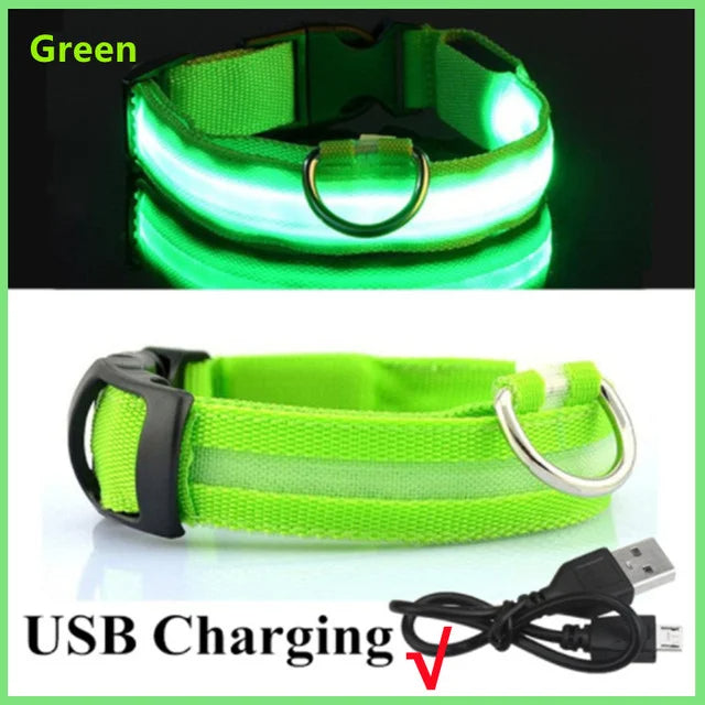 LED Glowing Dog Collars Rechargeable - Pawsyhome