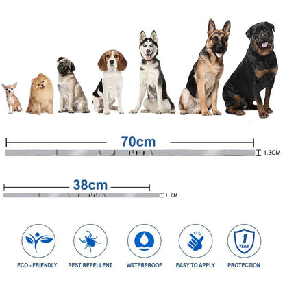 Antiparasitic Pet Collar - Pawsyhome