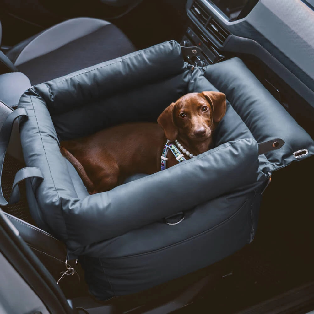 Dog Car Seat Bed with Safety Buckle - Pawsyhome