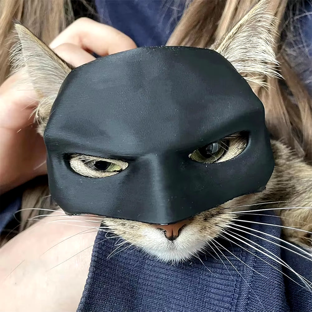 Cat Bat Halloween Costume Mask