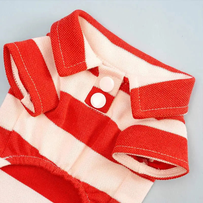 Summer T-Shirt for Dogs & Cats