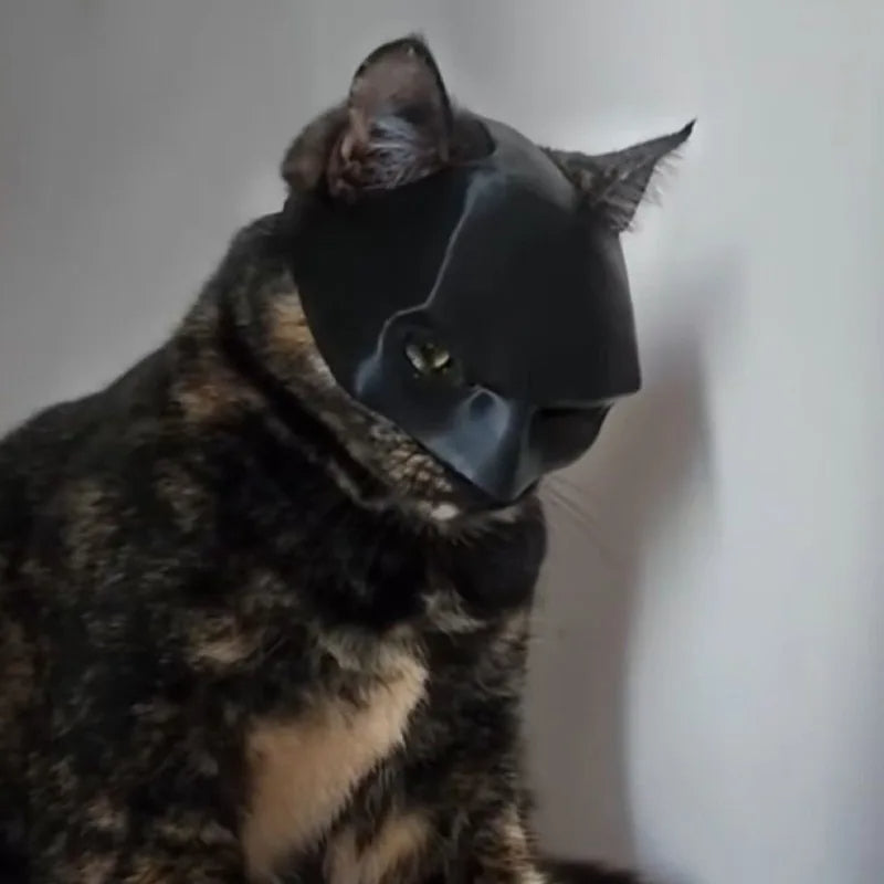 Cat Bat Mask - Pawsyhome