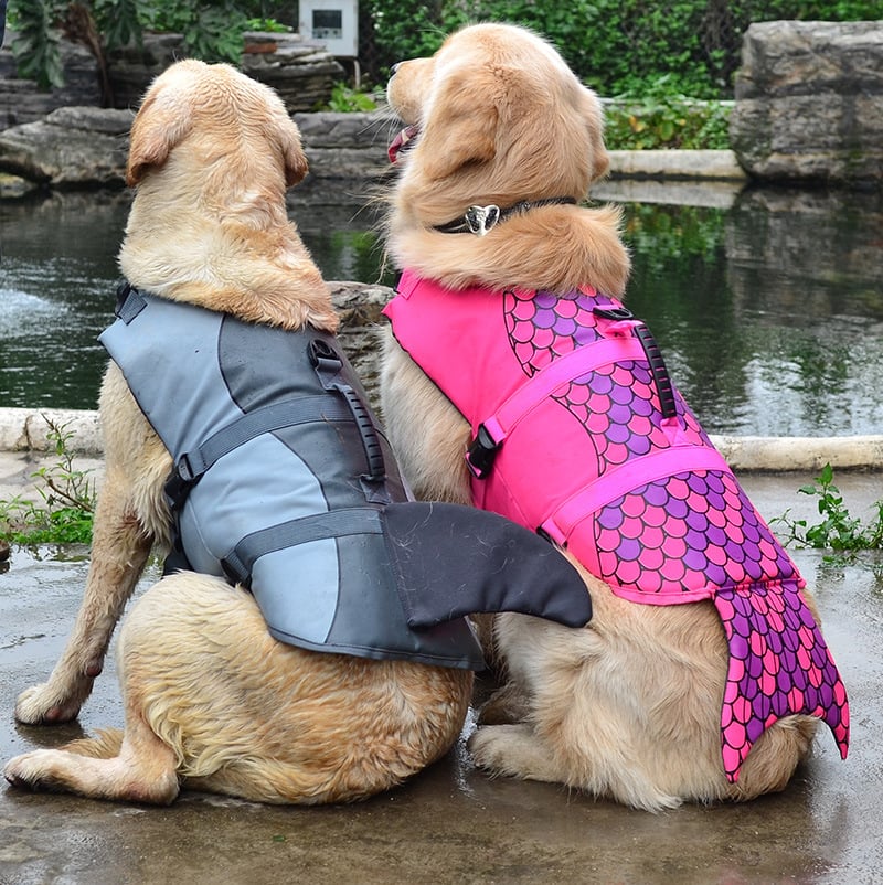 Chaleco Salvavidas para Perros – Seguridad en el Agua con Asa de Rescate