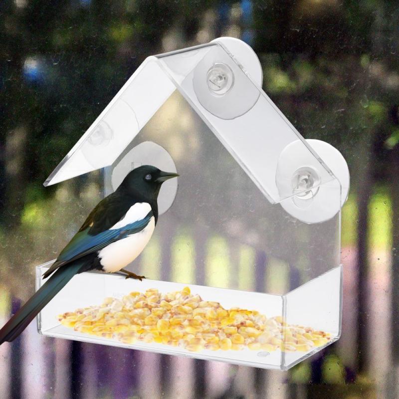 Comedero de Ventana con Ventosas — Acrílico Transparente para Observar Aves de Cerca