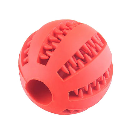 Elastic Chew Toy for Dogs - Pawsyhome