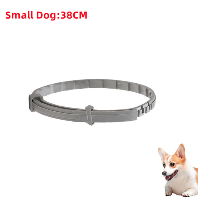Antiparasitic Pet Collar - Pawsyhome