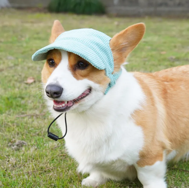 Gorra Casual para Perros y Gatos Pequeños con Orificios para las Orejas – Gorro Lindo Ajustable